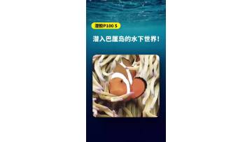 Let’s dive into the underwater world of Bali! Explore Bali’s underwater paradise with the Qianjiao P100S, a haven for marine