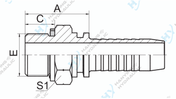 BSP Male O-Ring Seal