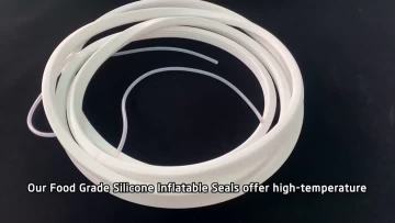 Silicone Inflatable Seals | Food Grade & Medical Grade for Glove Boxes & Sterilizers