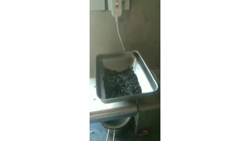mini flax seed oil press