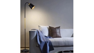 LED-Modern-LED-Floor-Lamp-Installation-and-Feature-Showcase