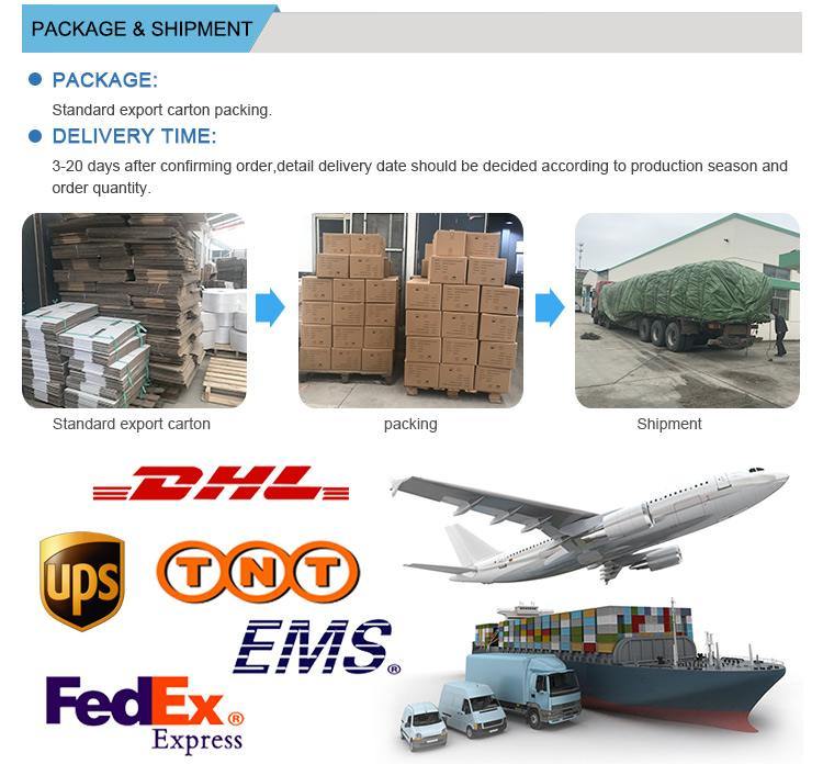 Changzhou KingSun New Energy Technology Co., Ltd.