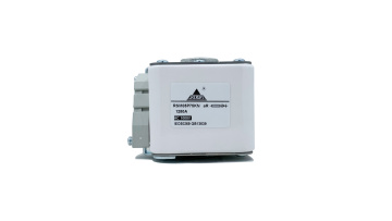 YZPST-RSM05P75KN  Fast fuse