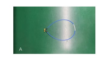 Radio Frequency Wiring Harness