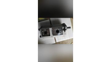Gear Pump
