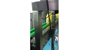 FXZ-4L Capping Machine for Detergent Bottles
