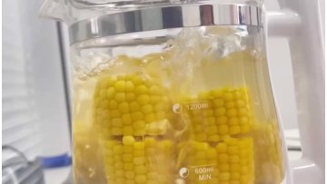 Yellow Waxy corn8