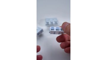 Exhibition of miniature push wire connectors