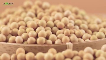 Food Grade Emulsifier E322 Soybean Soy Lecithin Powder