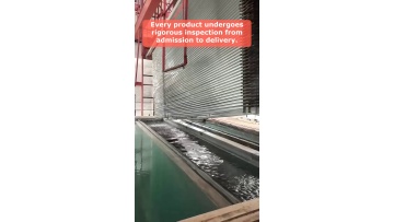Video 10