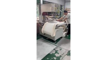 Skirt Edge Baffle PVC Green Conveyor Belt