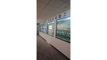 Customized container leafy vegetable plant video