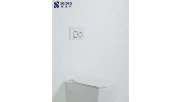 wall hung toilet flushing WH045