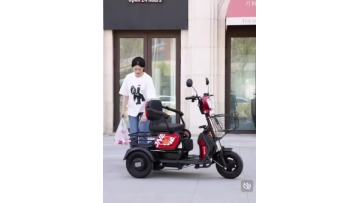 Three wheeled leisure car