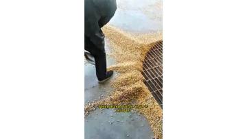 Grain Dryer Full View