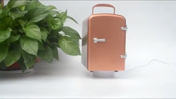 Portable 4L mini fridge/ colored cosmetic mini fridge1