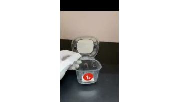 50mini Blueberries Clamshell