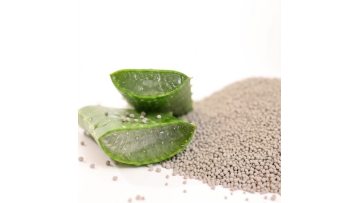 Aloe Vera Scented Bentonite Cat Litter