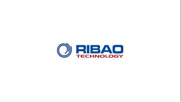 RIBAO BC-55 multi currency mixed denomination value counter two CIS.mp4