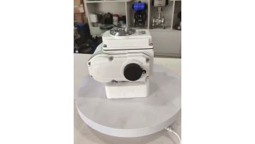 F] type precision small electric actuator