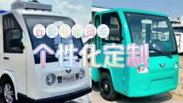 Customized pure electric vehicle