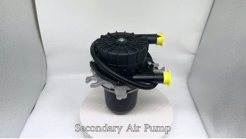 BJ-9313 Secondary Air Pump