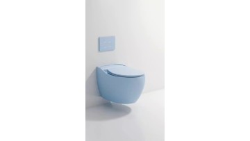 wall-hung toilet