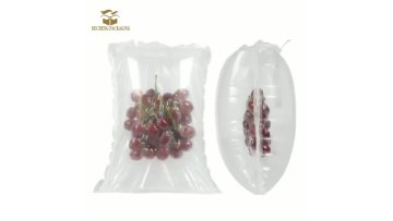 Air Inflatable Bag Fruit