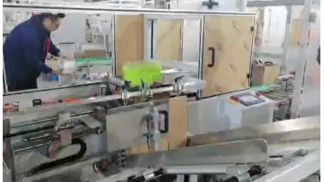 box side push case packer -8