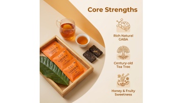 Mini Tablet GABA Fermented Black Tea for Travel Office Drinking