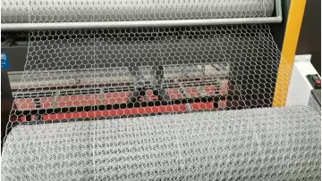 XINHAI Hot Dipped Galvanized Or Pvc Coated Hexagonal wire mesh for checken fence1