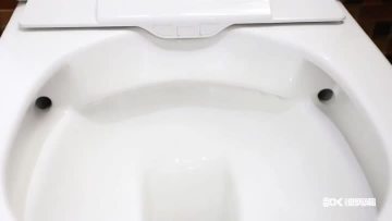 Smart Wall Hung Toilet (1)