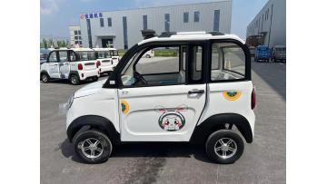longmao two door electric tricycles closed