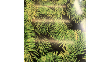 Galvanized steel with a 2D forest pattern