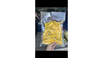 Vacuum packaging machine   