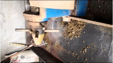 150 rapeseed oil extraction
