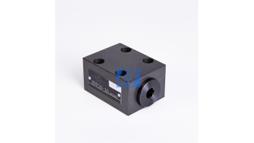 RVP 10 Series check valve