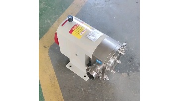 rotor stator pump parts rotary lobe pumpcam water pump rotary lobe pump1
