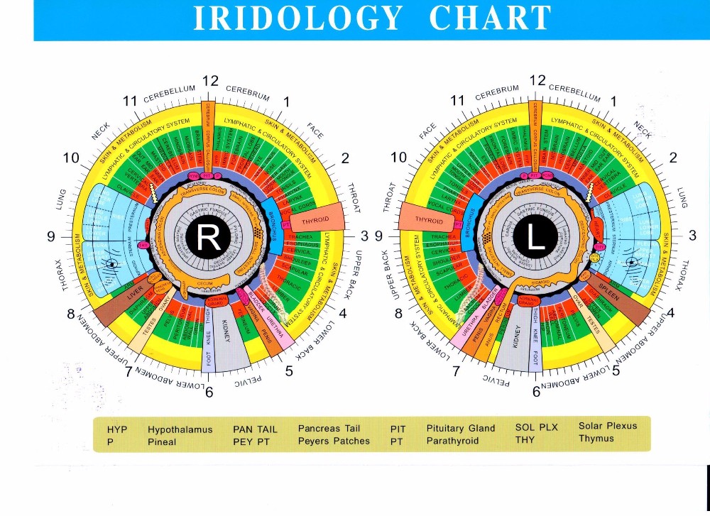 chart2