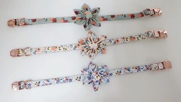 pet collar