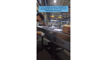 Video 31