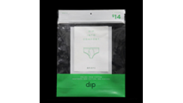Wholesale Custom Women Ziplock Zip Lock Bag Garment Socks Underwear Bra Panties Plastic Packaging Bags With Hang Hole1