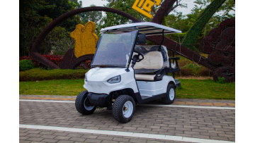 2-seater golf cart and 2 pcs of 4 seater golf cart