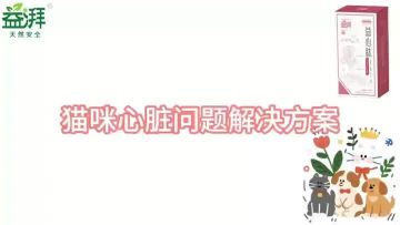 Cardiac System Supplements for Pets car