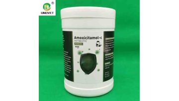 Amoxicitamol-cANTI-BIOTIC POWDER
