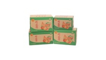 Shipping Carton Box Fruit Carton Fruit Packaging Carton for Packing & Shipping Fresh Products1
