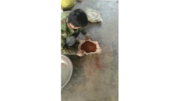 hydraulic Oil Press.mp4