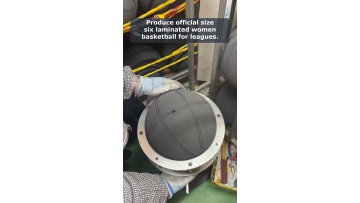 Video 16