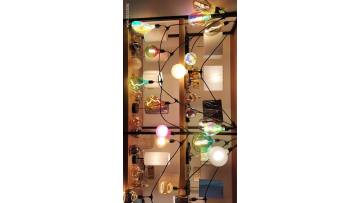 DEC LED BULB (2)