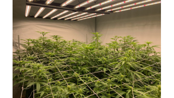 grow lights application feedback